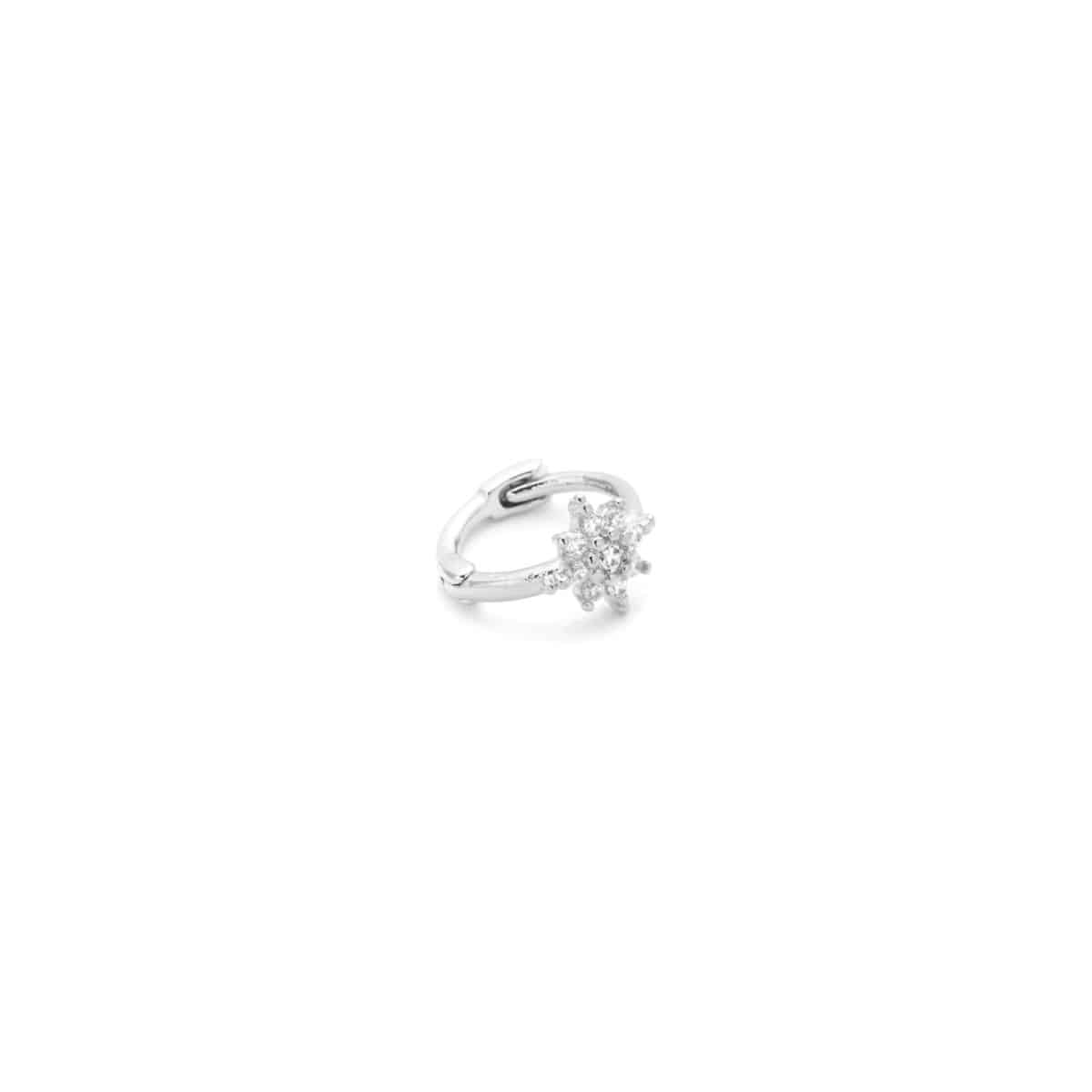 CELESTE FLESILWT scaled e1593010890786