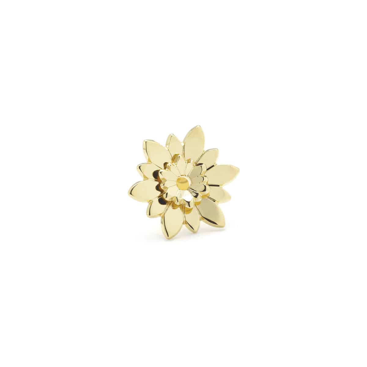 DAHLIA3